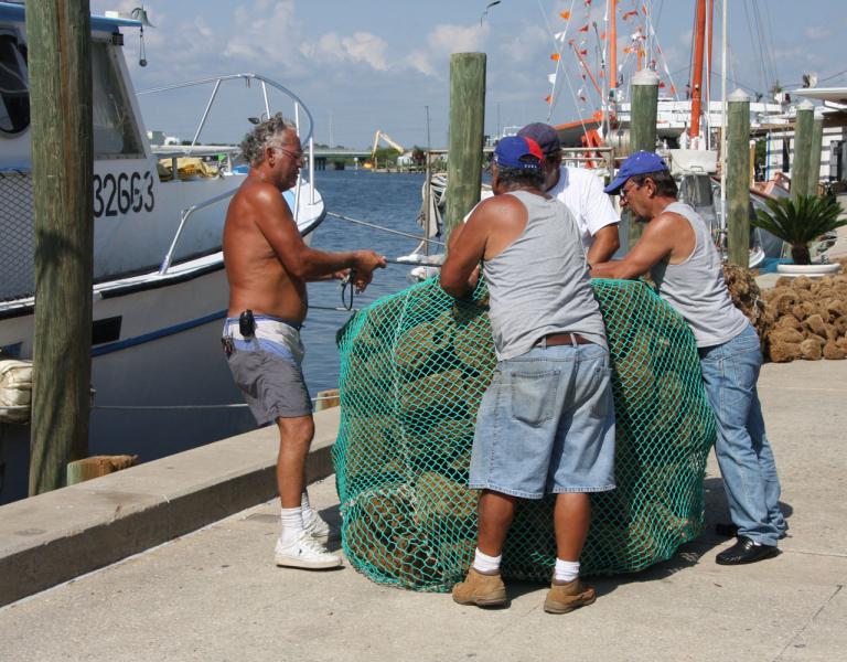 Fishermen pack sponges for shipment- Tarpon Springs, FL