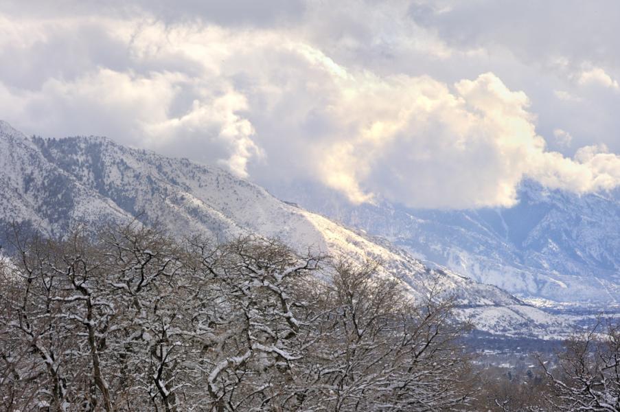 Wasatch Range From Red Butte Gardens, Salt Lake City