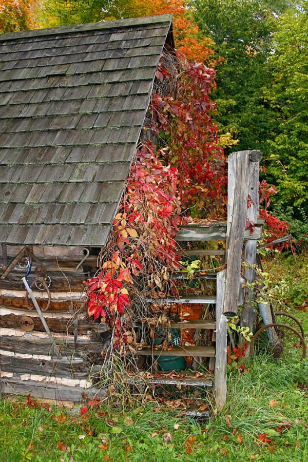 Old Shed and Stairs