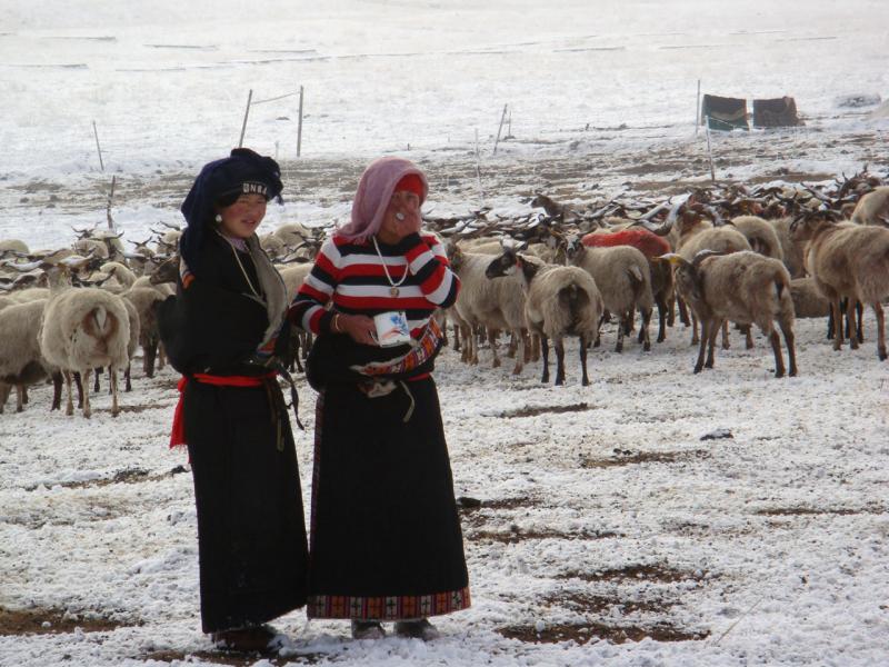 Nomadic Girls, Sichuan China