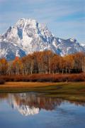 Mt. Moran - Grand Teton Nat. Park, WY