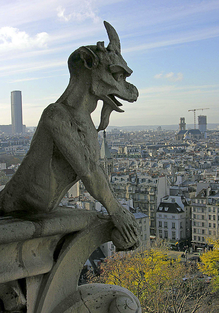 Looking out over Paris from Notre Dame