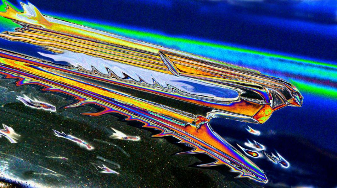 Eagle Flyer Descending