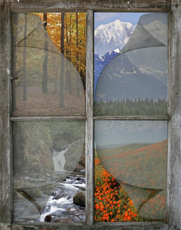 Four Views Thru a Window