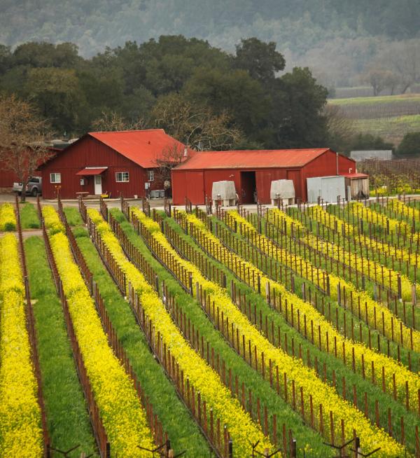 Red, Yellow, Green