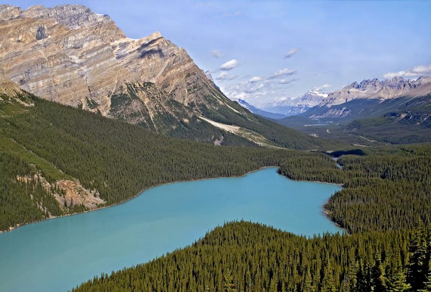 Peyto Lake Alberta Canada