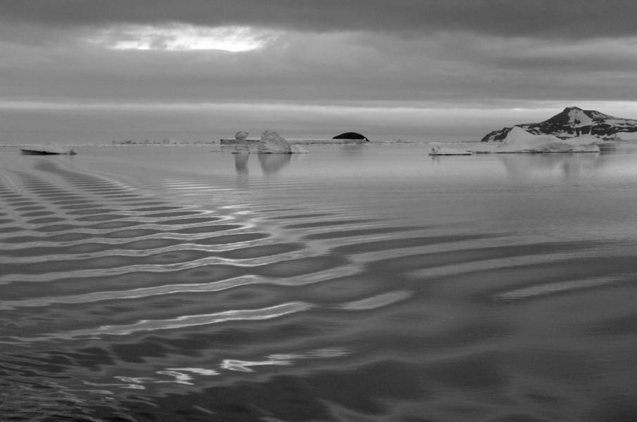 Ship's wake in the Weddell Sea