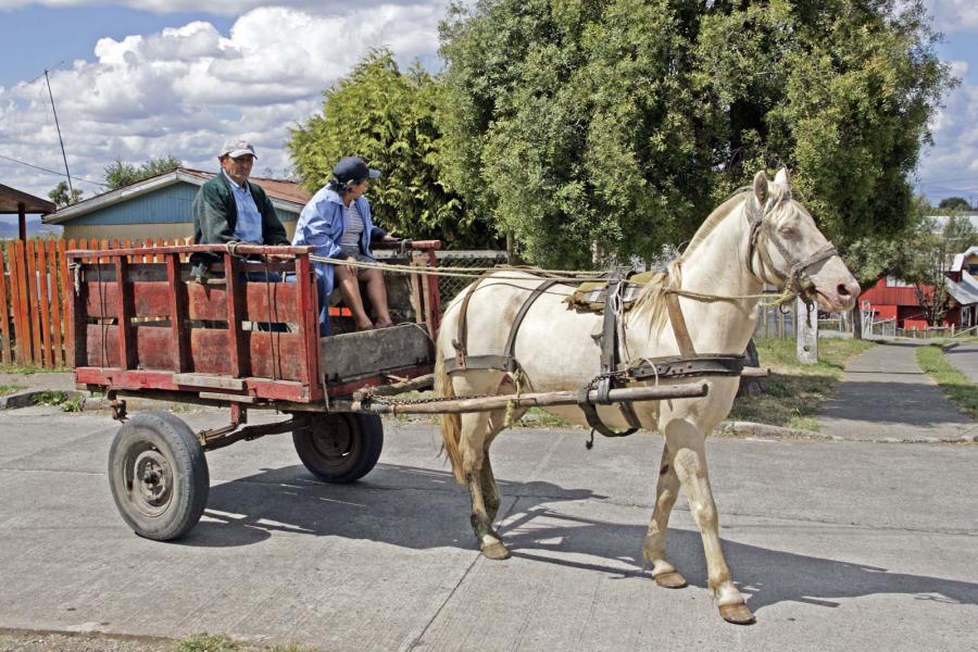 Checking Cross Traffic in Puyehue, Chile