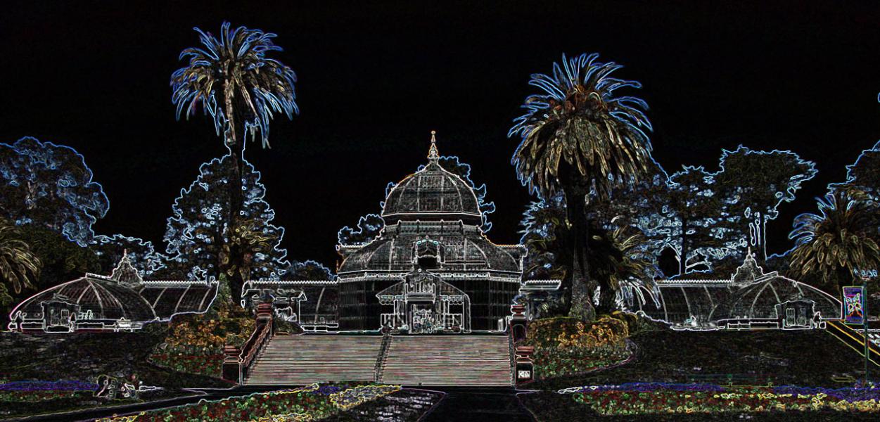 The Conservatory of Flowers - A Neon View