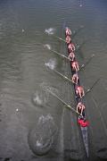 Ohio State Buckeyes Womens 8 at Windemere Classic