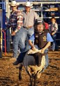 Lamb Riding Competition at CA State Fair