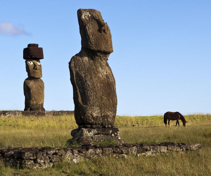Grazing Horse Illustrates Size of Moais, Easter Island