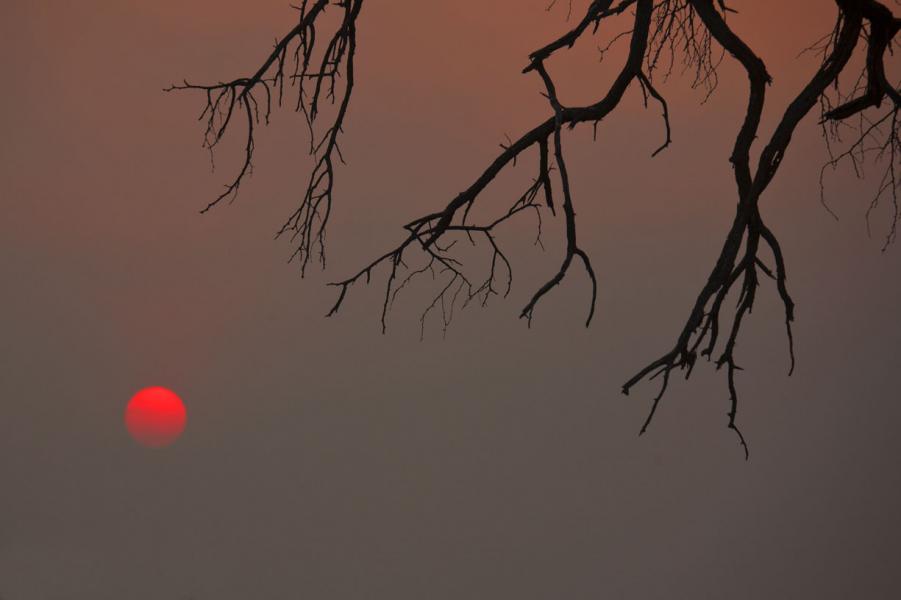 Sunset and that red rubber ball