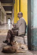Old Man and His Dogs, Havana, Cuba