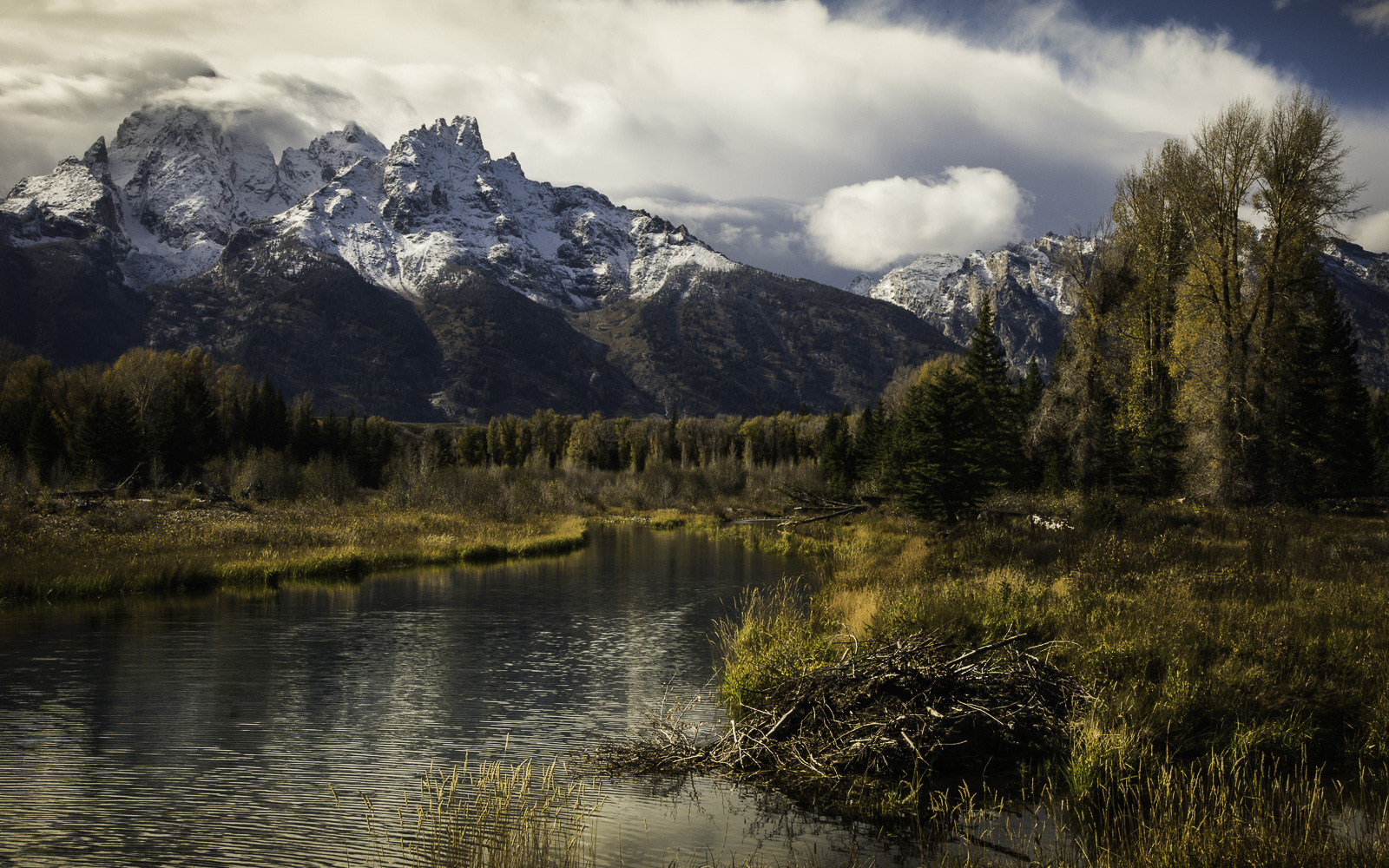 Schwabacher Landing - Grand Tetons