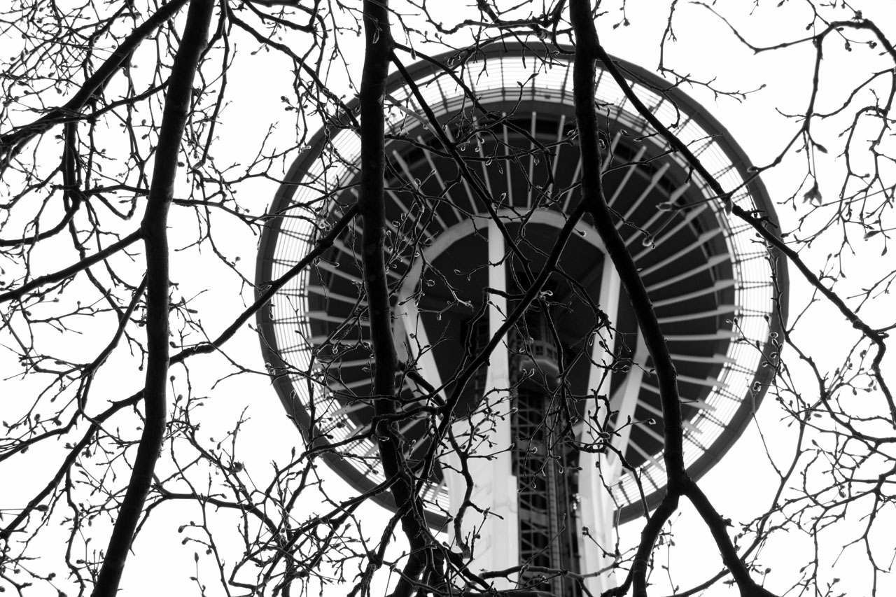 Spaceship behind trees