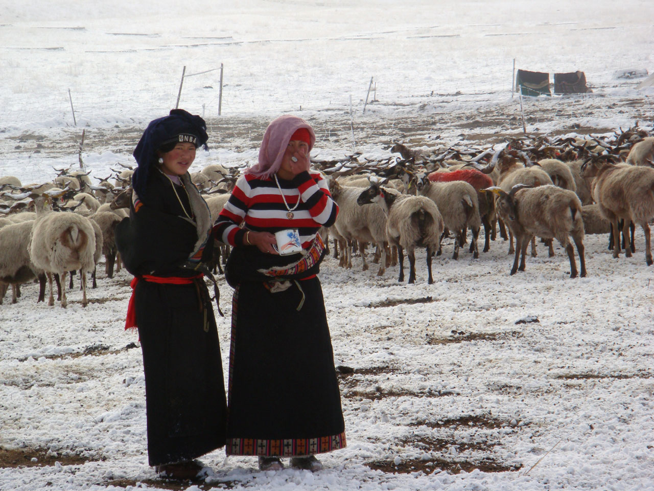 Nomadic girls, Sichuan China