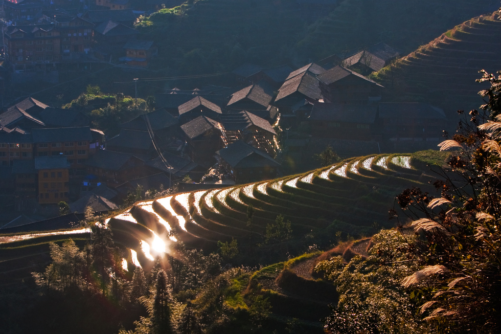 Dragon\'s Spine Rice Terrace, Longsheng, China